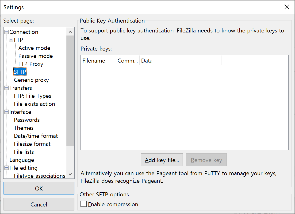 Filezilla settings to connect to compute session