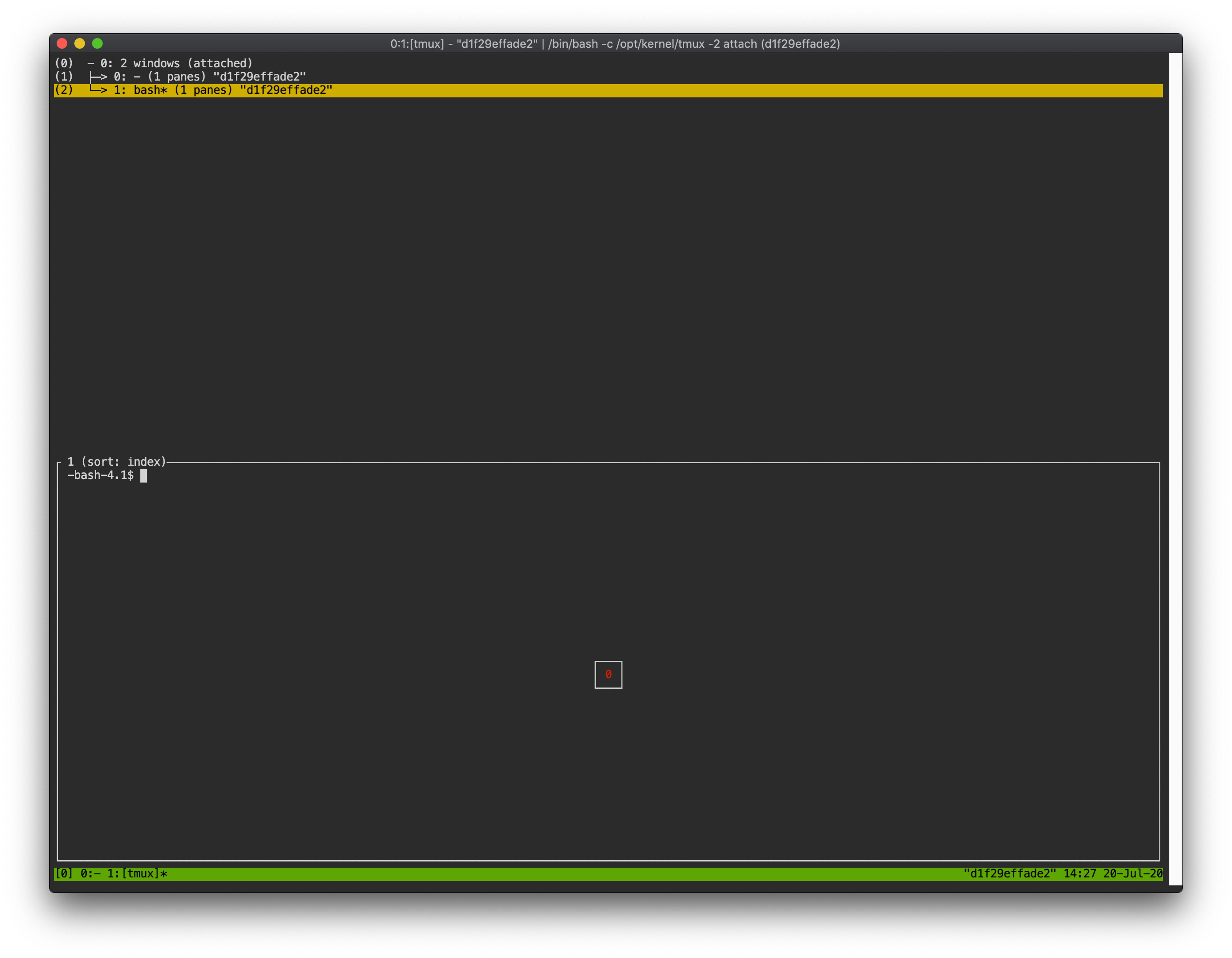 tmux's multiple session management